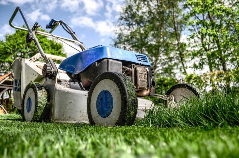 Gartenarbeit 1