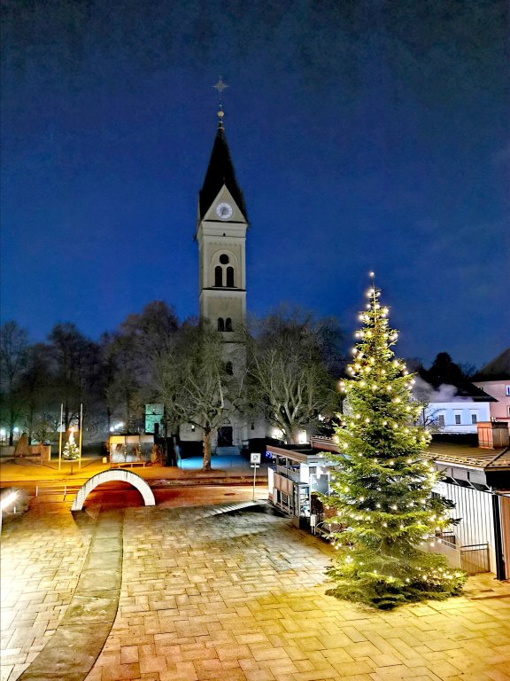 Christbaumspender
